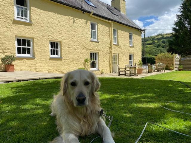 Ty Mawr Country Hotel & Restaurant Carmarthen Luaran gambar